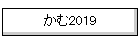 ����2019