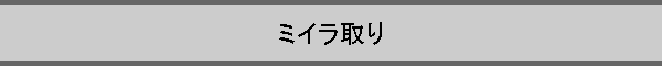 �~�C�����